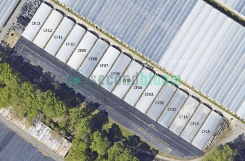 Top-down sky view of X.S. Smith Criterion Quonset Greenhouses (Cold Frames) for sale at SecondBloom Auctions.